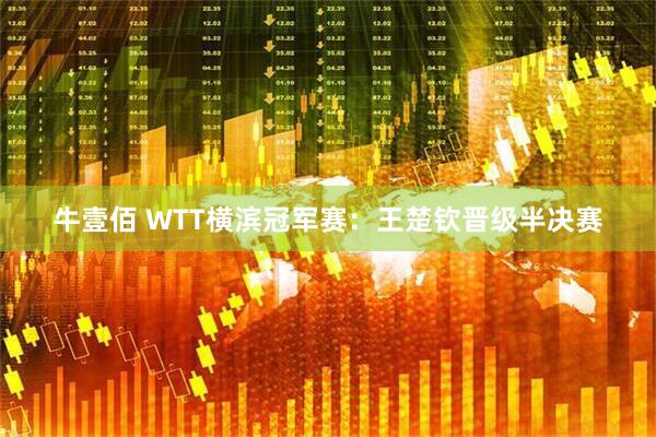 牛壹佰 WTT横滨冠军赛：王楚钦晋级半决赛