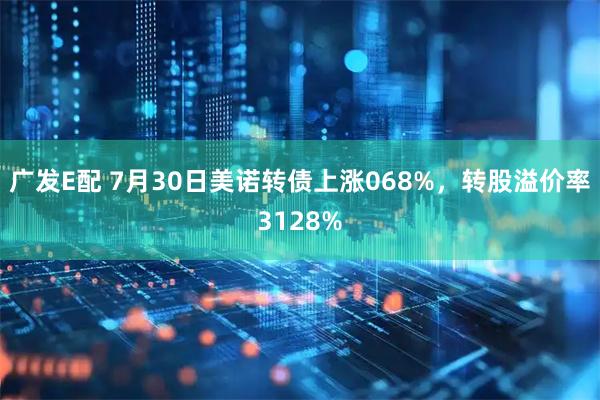 广发E配 7月30日美诺转债上涨068%,转股溢价率3128%