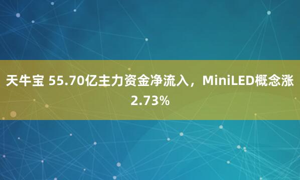 天牛宝 55.70亿主力资金净流入,MiniLED概念涨2.73%