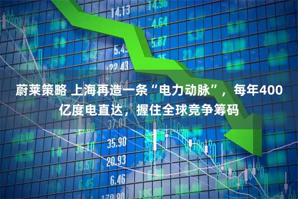 蔚莱策略 上海再造一条“电力动脉”,每年400亿度电直达,握住全球竞争筹码