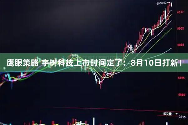 鹰眼策略 宇树科技上市时间定了:8月10日打新!